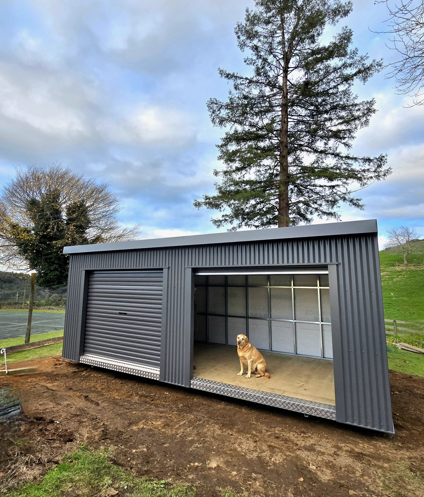 Utility shed with dog